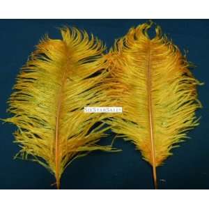 Ostrich~20 Deluxe Coin Gold Ostrich Feather 10 14 to Decorate Eiffel 