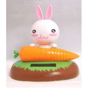  Bunny eating carrot Toys & Games