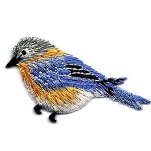 BUY 1 GET 1 OF SAME FREE/Bird Robin, Blue w/Orange/Iron On Embroidered 