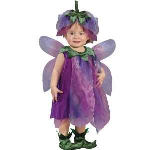  Sugar Plum Fairy Infant/Toddler Baby