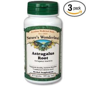 Natures Wonderland Astragalus Root Herbal Supplement Capsules, 595 mg 