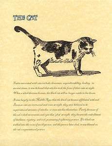 Book of Shadows page The Cat Wicca Wiccan Familiar  