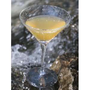  Orange Martini Glass in Rushing Water of Stream Stretched 