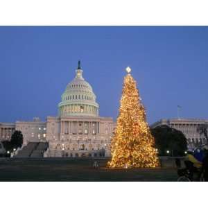  View of the National Christmas Tree Standing Before the Capitol 
