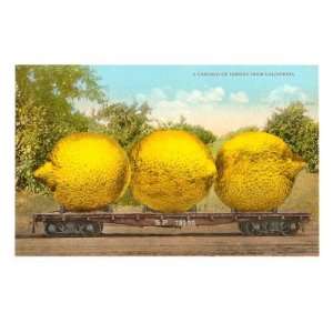  Carload of Mammoth Lemons from California Giclee Poster 