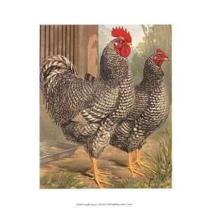 Cassells Roosters II by Cassell 10x13 