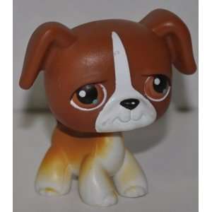 Boxer #40 Dog (Brown, White Accents, Brown Eyes) 2004 Littlest Pet 