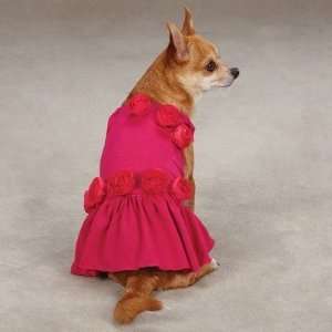  Spring Fling Dog Dress