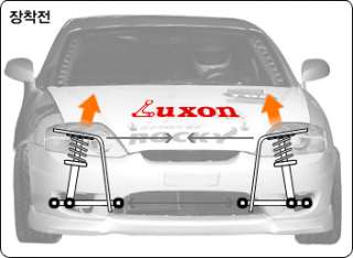 Luxon Strutbar for Hyundai Veloster  