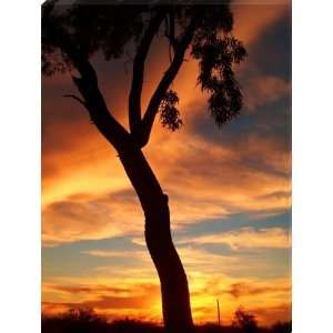  Vibrant Orange and Gold Sunset Tree Silhouette   Eleven 