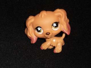   Pet Shop ♥ LPS ♥ CARAMEL BROWN COCKER SPANIEL DOG #716  
