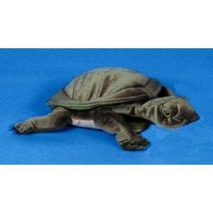  12 Softshell Turtle Puppet