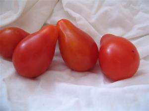Red Pear Cherry Heirloom Tomato 25 Seeds ORGANIC  
