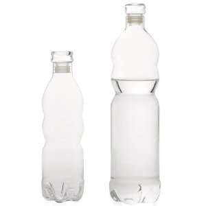  Eco Glass Water Bottle