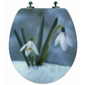   Snowdrop Flowers, Round, Chromed Metal Hinges, Wood, White Home