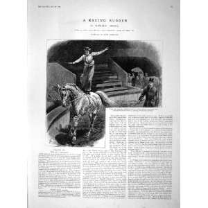  1894 Scene Circus Horse Lady Ringmaster Hippodrome