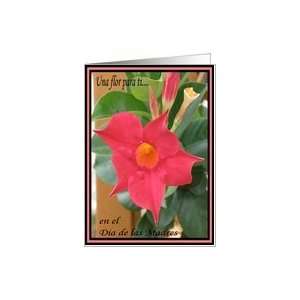  flor para ti Dia de las Madres(spanish) Card Health 