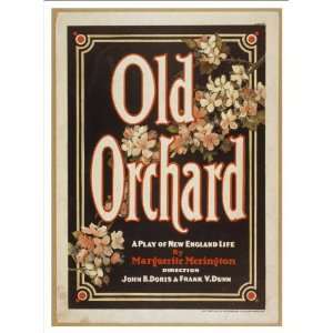  Historic Theater Poster (M), Old orchard a play of New 