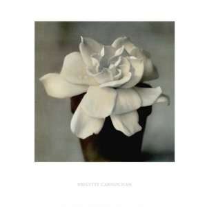  Gardenia in Clay Pot by Brigitte Carnochan 16x18 Patio 