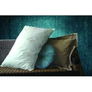  Everloft Comfort Sleep Pillow