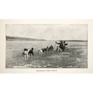  1900 Print Dog Sled Amur Russia Sledge Siberia Race Ice 
