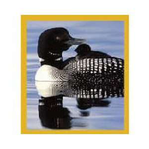  Loon With Chick Fridge Magnet