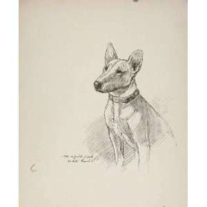  Dog Sketch Drawing RogueS Gallery Antique Print C1939 
