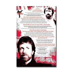  Chuck Norris   The BEST Poster