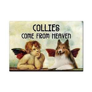  Collies Come From Heaven Cute Dog Fridge Magnet 