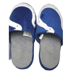  Indianapolis Colts 2011 Big Logo Hard Sole Slippers (Two 