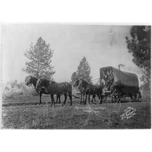   Immigrant Outfit,Central Oregon,Conestoga wagon,c1910