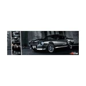  Shelby GT500   Mustang Poster