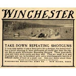   Ad Winchester Repeating Arms Co. Gun Dog Hunt Duck   Original Print Ad