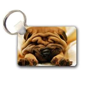  Shar pei puppy Keychain Key Chain Great Unique Gift Idea 