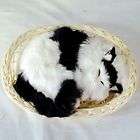SLEEPING CAT IN BASKETS kitty collector gift novelty 