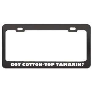 Got Cotton Top Tamarin? Animals Pets Black Metal License Plate Frame 