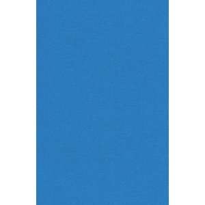  130lb Card Stock   11 x 17   So Silk Fair Blue (25 Pack 
