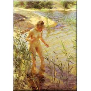  Reflexions 11x16 Streched Canvas Art by Zorn, Anders