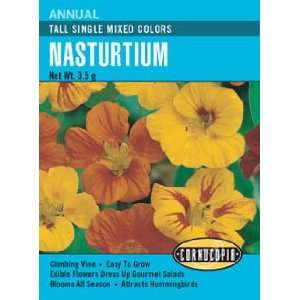  Nasturtium Tall Single Mixed Colors Seeds Patio, Lawn 