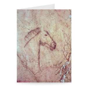 Head of a Horse, from the Cueva de la Pena   Greeting Card (Pack of 
