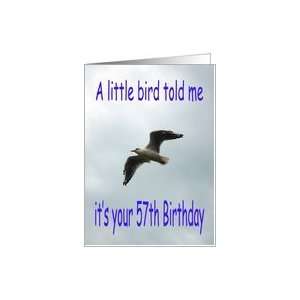  Happy 57th Birthday Flying Seagull bird Card Toys & Games
