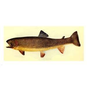  Yellowstone cutthroat trout Poster (24.00 x 12.00)