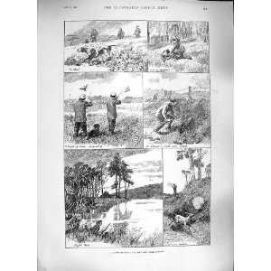   1889 SHOOTING HUNTING BUCHAM ABERDEENSHIRE BIRDS DEER