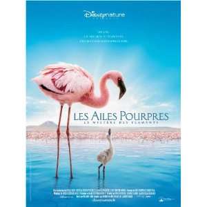   Movie Poster (27 x 40 Inches   69cm x 102cm) (2008) French  (Matthew