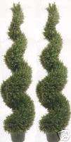 ARTIFICIAL IN OUTDOOR 5 LIT ROSEMARY CHRISTMAS TREES  