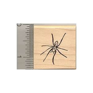  House Spider Rubber Stamp Arts, Crafts & Sewing