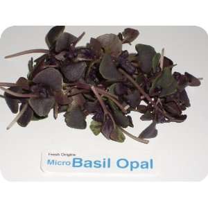 Micro Greens   Basil Opal   4 x 4 oz  Grocery & Gourmet 