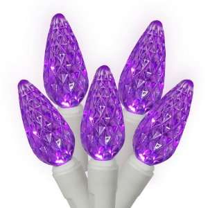 Set of 50 Commercial Grade Purple LED C6 Christmas Lights 