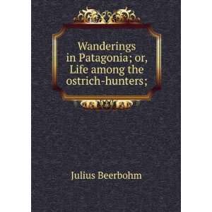   Patagonia; or, Life among the ostrich hunters; Julius Beerbohm Books