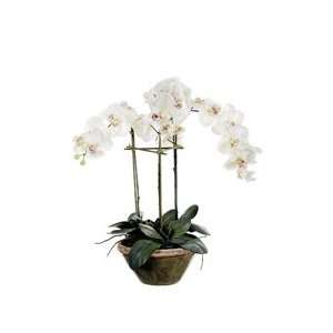   Silk Phalaenopsis Flower Arrangement in Designer Pot